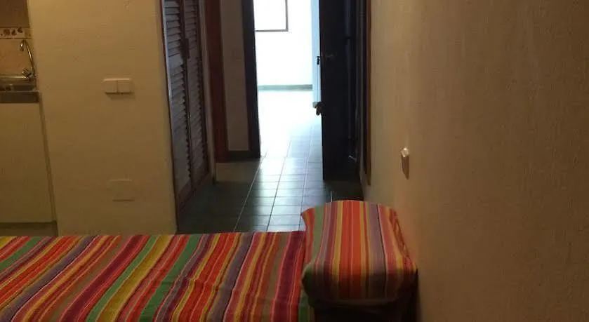 Coconut Apartments - Adults Only Magaluf  Spagna